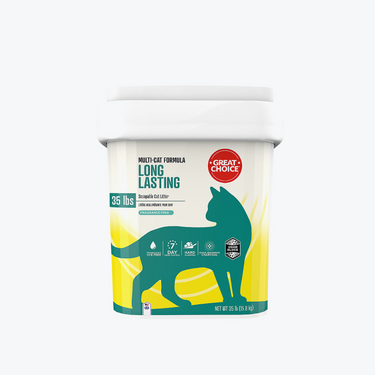 Cat Litter